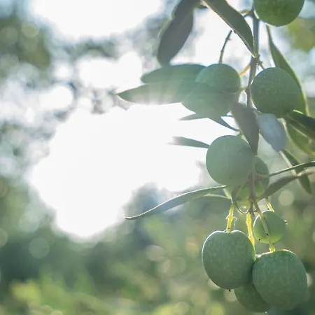 Willa Hacienda Seres