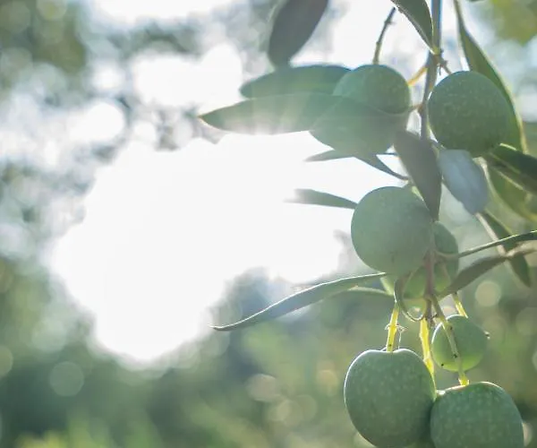 Villa Hacienda Serres